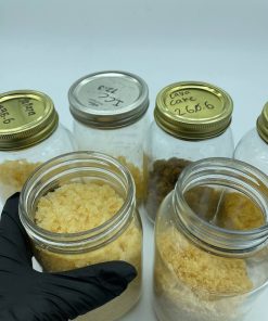 DMT Bestellen Online , DMT Kaufen Online , DMT Bestellen österreich , DMT Kaufen österreich , DMT Bestellen Schweiz , DMT Kaufen Schweiz , DMT Bestellen Deutschland , DMT Kaufen Deutschland